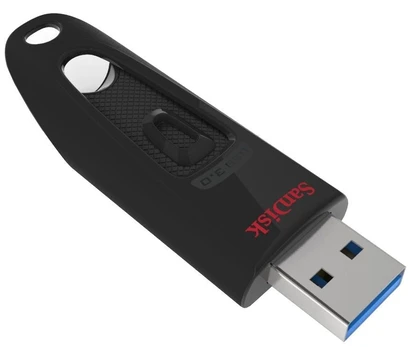 MEMORY DRIVE FLASH USB3 256GB/SDCZ48-256G-U46 SANDISK