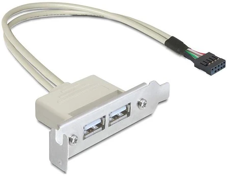 Adapteris Delock Bracket USB 9pin to USB x2 USB, USB 2.0 A female, 0.5 m, pilka