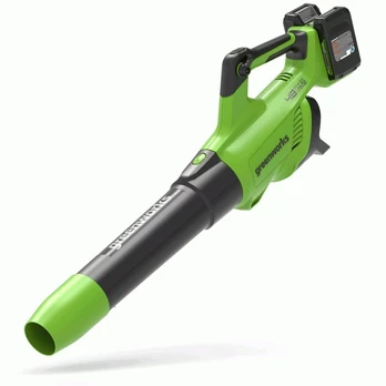Greenworks G24X2ABK2X