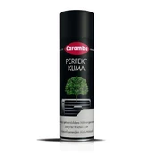 Oro kondicionieriaus valiklis CARAMBA 100ml kaina