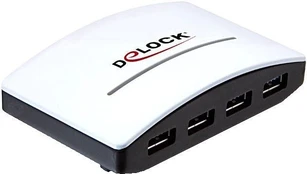 USB šakotuvas Delock, 10 cm kaina