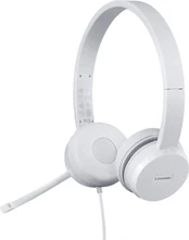 Ausinės Lenovo 110 Stereo USB kaina
