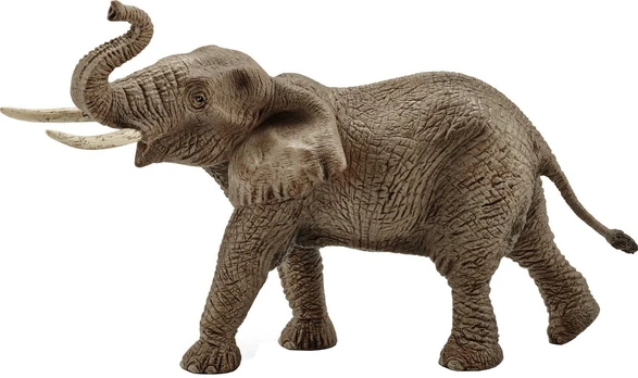 SCHLEICH WILD LIFE Afrikinio Dramblio Patinas