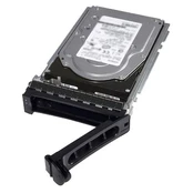 Serverių kietasis diskas (HDD) Dell 400-ALOB, 3.5", 2 TB kaina
