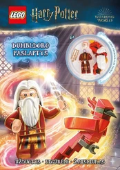KNYGA LEGO ® Harry Potter™. Dumbldoro paslaptys kaina
