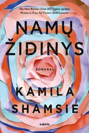 KNYGA Namų židinys kaina