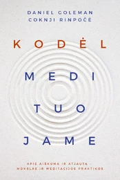 KNYGA Kodėl medituojame kaina