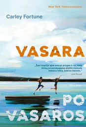 Vasara po vasaros kaina