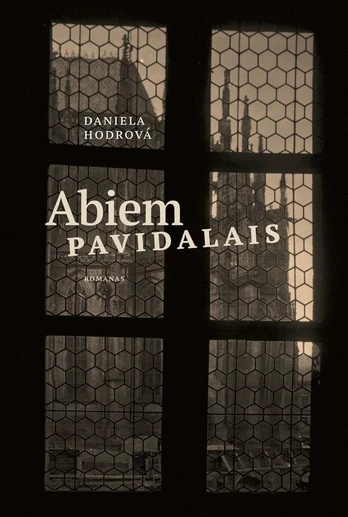 KNYGA Abiem pavidalais