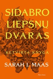 Sidabro liepsnų dvaras. 4 knyga kaina