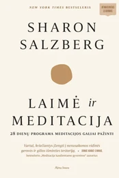 Laimė ir meditacija kaina