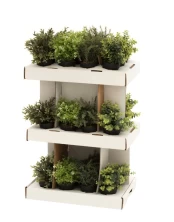 Dirbtinis augalas vazonėlyje GRASS kaina