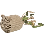 Žaislas katei Trixie Mouse 45660, rudas/žalias, 15 cm kaina