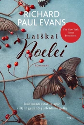 Laiškai Noelei kaina