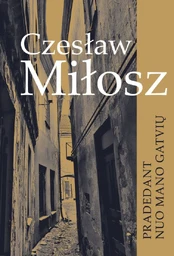 Pradedant nuo mano gatvių kaina