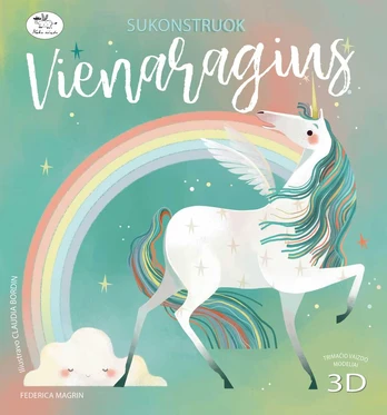 Žaidimas SUKONSTRUOK VIENARAGIUS