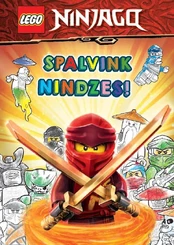 LEGO NINJAGO. Spalvink nindzes! kaina