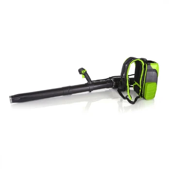 Greenworks GD60BPB