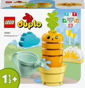 LEGO DUPLO 10981 Auganti morka kaina