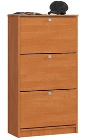 Batų spintelė 3, 60 cm, alksnio kaina