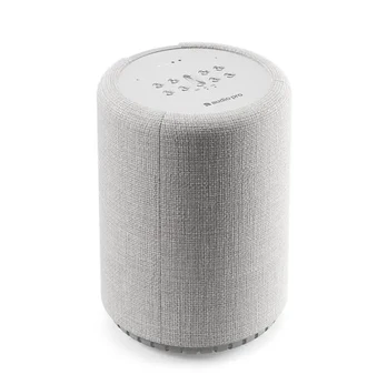 Garso kolonėlė Audio Pro G10