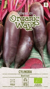 Sėklos Organic Way, burokėliai Cylindra, 3 g kaina