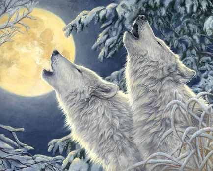2 Wolves Deimantinio Paveikslo komplektas CS2565