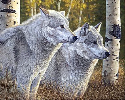 Wolves Deimantinio Paveikslo komplektas CS2570