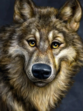 Wolf Deimantinio Paveikslo komplektas CS2574