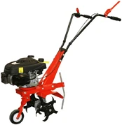 Benzininis kultivatorius Besk 139CC, 3000 W kaina