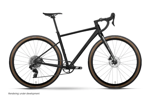 Dviratis Raymon Territ Ultra 2026 black stealth-XL