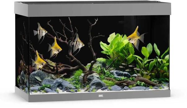 Rio 290 LED akvariumas, 290 l pilkas