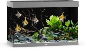 Rio 290 LED akvariumas, 290 l pilkas kaina