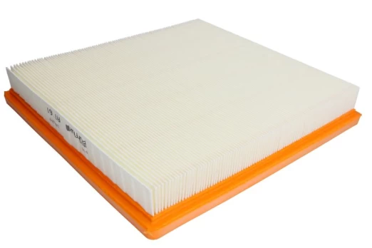 Oro filtras PURFLUX A1161