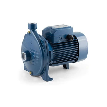 Sausai statomas horizontalus siurblys Pedrollo CPm 220C 230V