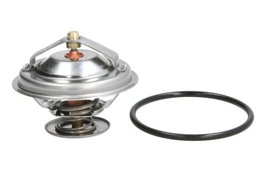 termostatas, aušinimo skystis THERMOTEC D2B001TT