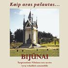 Kaip aras pašautas... (CD)