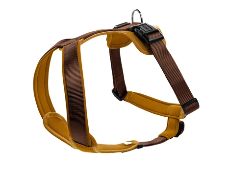 Hunter Norwegian Brown/Caramel Šuns petnešos