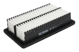 Oro filtras FILTRON AP197/2 kaina