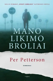 Mano likimo broliai kaina