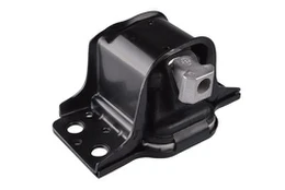 Variklio montavimas TEDGUM TED42243