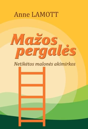 Mažos pergalės. Netikėtos malonės akimirkos