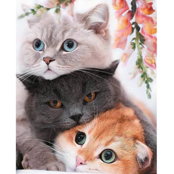 Tapyba pagal skaicius TM Varvikas Three Kittens MG2431e 40x50 cm