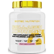 Scitec Collagen Xpress 475 g. kaina