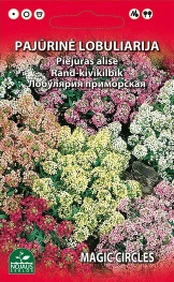 Laibenis pajūrinis