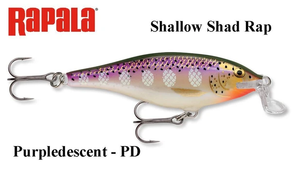 Vobleris Rapala Shallow Shad Rap Purpledescent 5 cm