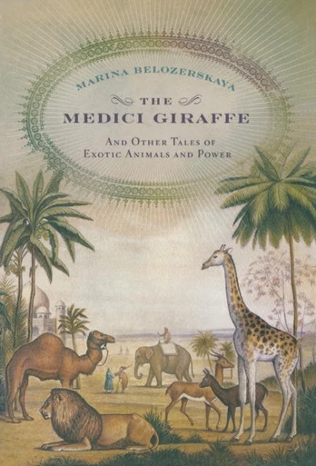 Medici Giraffe