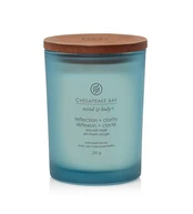 Chesapeake Bay Reflection + Clarity 250g kaina