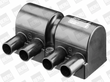 Ritė, uždegimas BorgWarner (BERU) ZSE025