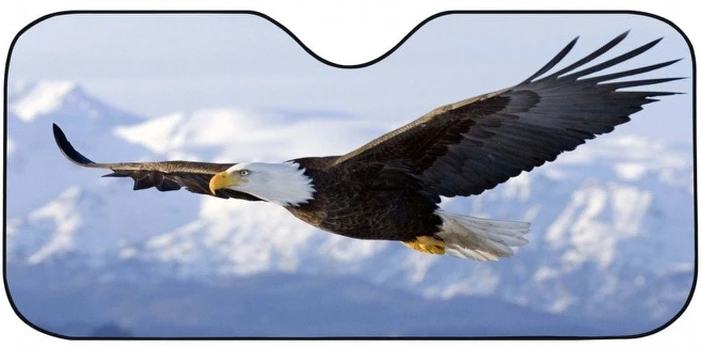 Priekinio lango uždangalas Bottari Eagle, 80 cm x 150 cm